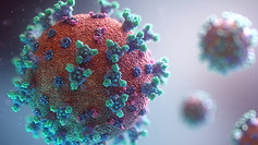 Image by Fusion Medical Animation