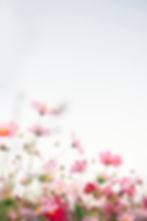 Virtual Spring Equinox Celebration