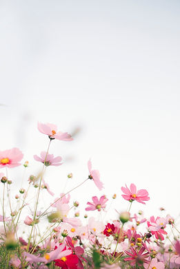 Image by TOMOKO UJI