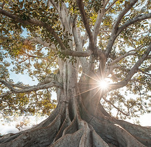 Image by Jeremy Bishop
