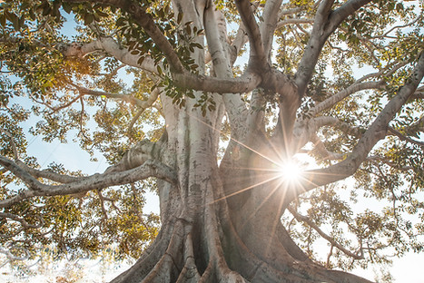 Image by Jeremy Bishop