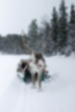 Image by Judith Prins
