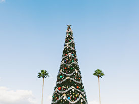 The dilemma of the Christmas tree 