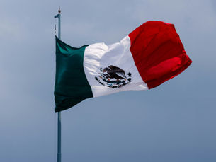 Mexico gusano barrenador