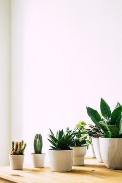 Image by Margarita Terekhova