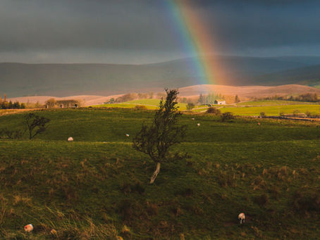 Blessings For Life by Trisha Rapley...