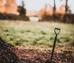Image by Annie Spratt