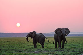 Safari Tours in Northern Tanzania - Safari Holidays in Tanzania | Kanje Grand Tours : Foto 15