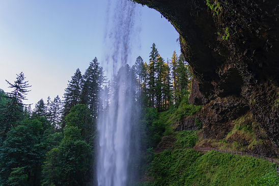 Image by Dan Meyers