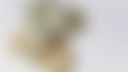 저작권 침해자 기여도를 손해액 반영해야