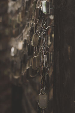 Image by Holly Mindrup