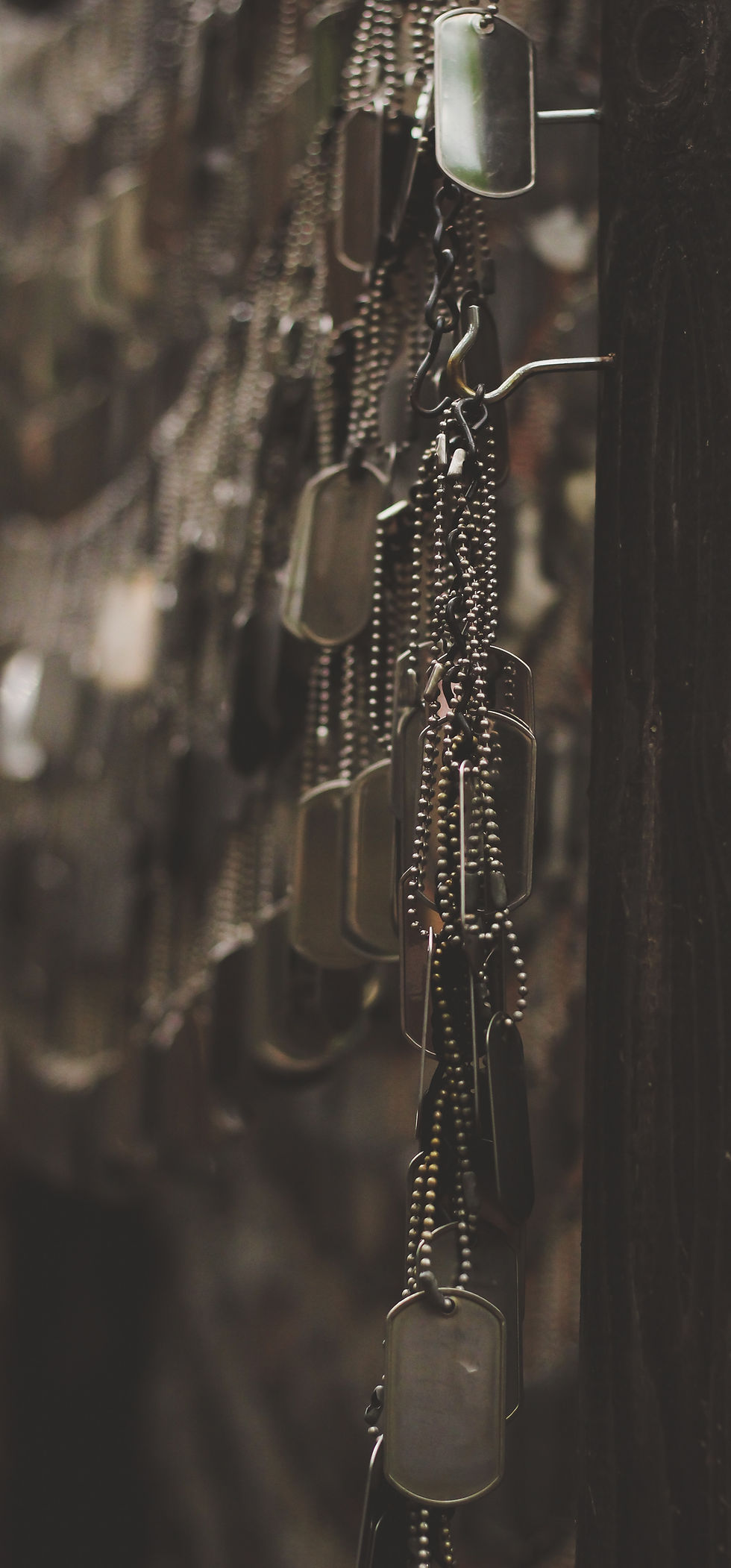 Image by Holly Mindrup