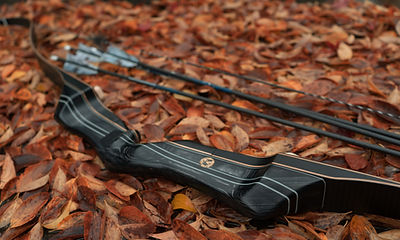 Bow photo