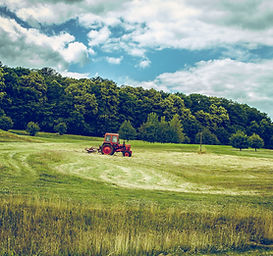Image by Emiel Molenaar