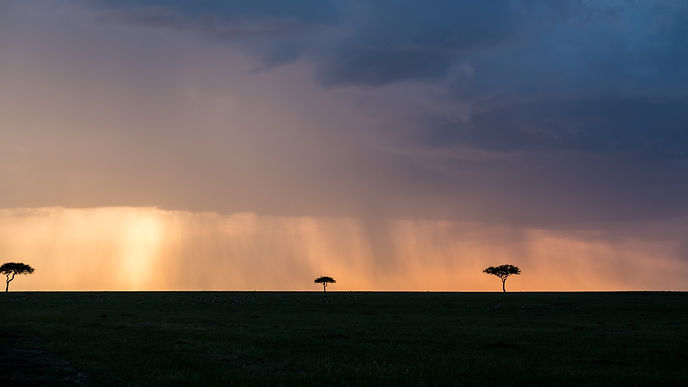 Image by Javi Lorbada