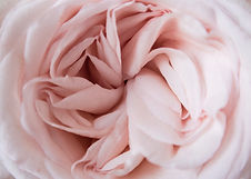 Image by Poppie Pack