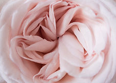 Image by Poppie Pack