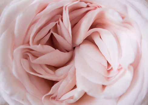 Image by Poppie Pack