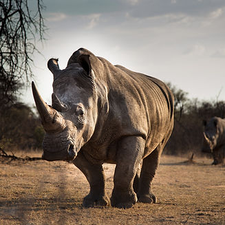 Image by Keith Markilie