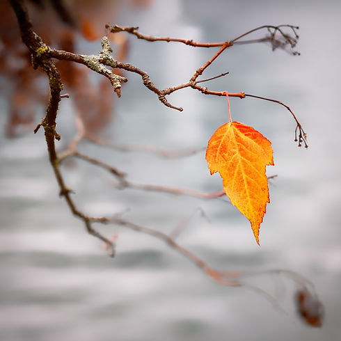 Image by Simon Berger