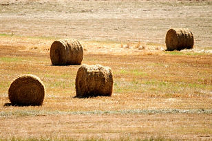 Best Round Baler Twine Big Tex from Protexia