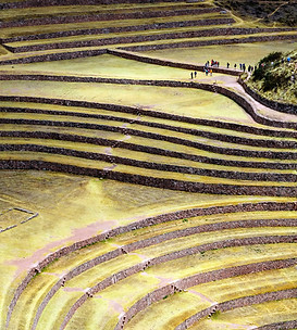 Image des salines de Maras