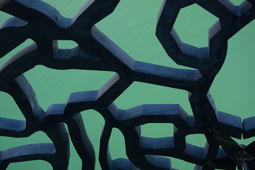 Image by Christina Kirschnerova