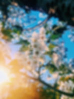 Spring Awakening Event