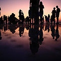 Image by Mario Purisic