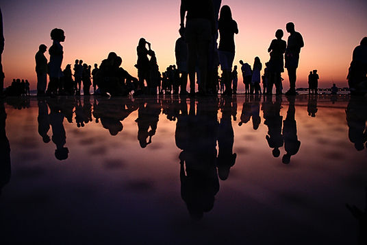 Image by Mario Purisic