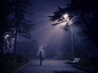 In Search of Life Among the Stars