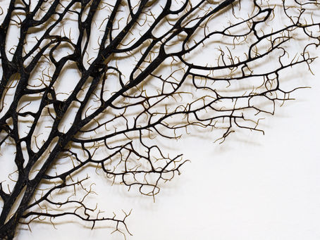 "Don't Be the Branch That Falls Away From the Vine." Remain in Jesus