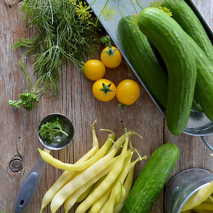 Image by Nadine Primeau - Sujata Nutrition Phase 1 Metabolic Balance