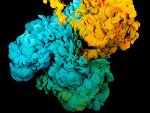 The Role of Digestive Enzymes in Fitness Nutrition