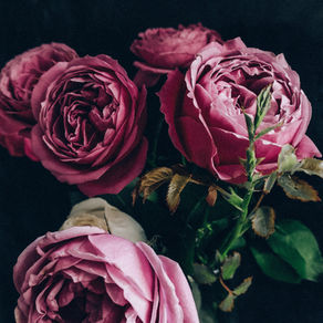 Poem: "One Fairy Night"