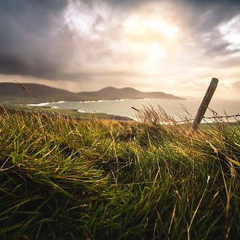 Image by Philipp Baumann