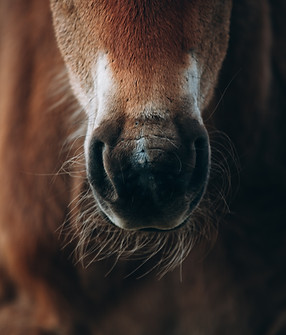 Image by Alex Glebov