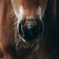 Image by Alex Glebov