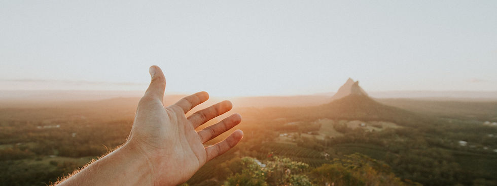 Image by Cody Board
