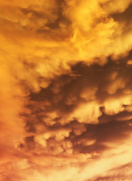Image by Jack Hamilton