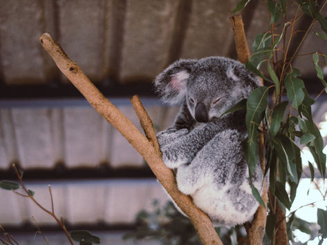 What best predicts how fatigued you’ll be? We ran a huge study to find out