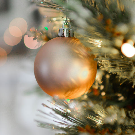 Holiday Peace