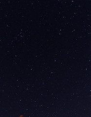 Image by Dennis Schweizer