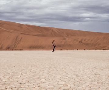 Image by Ivars Krutainis