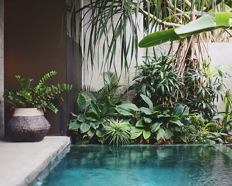 About Cal Pool Care