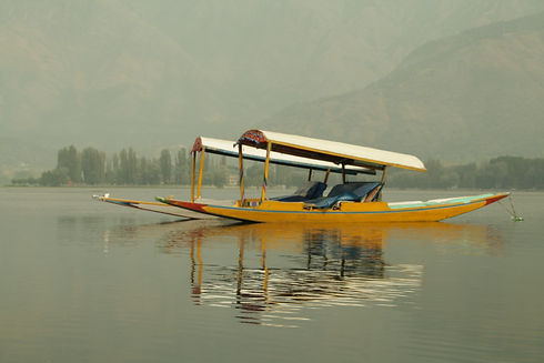 Image by Suryaansh Maithani