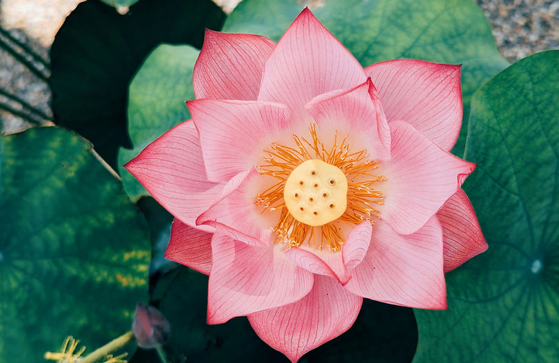 Grief educator James Bene 