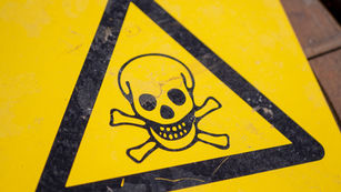 5 Values Of A Toxic Leader