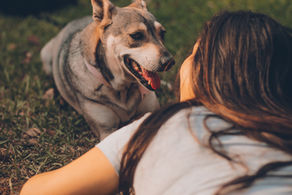 The History and Science Behind National Love Your Pet Day