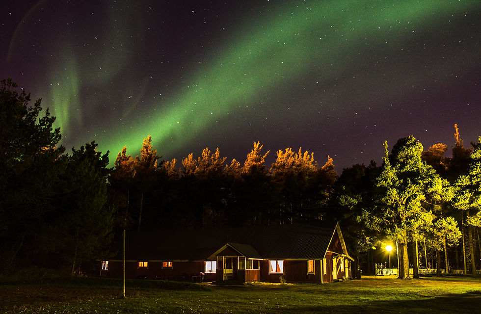 Eye-level view of a rustic cabin in the Canadian wilderness